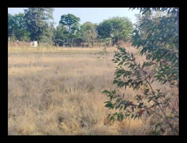 LAND FOR SALE IN GLEN AUSTIN